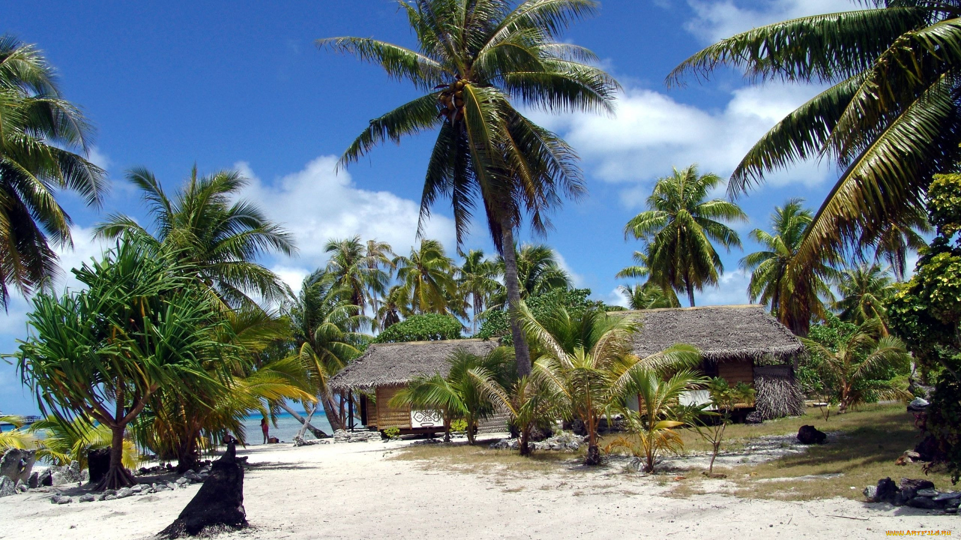 french polynesia, , - ,  , french, polynesia